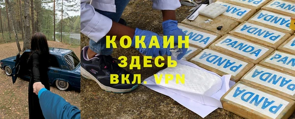 дмт Алексин