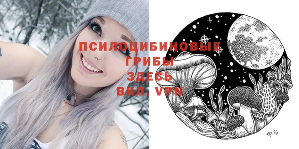 первитин Алексеевка