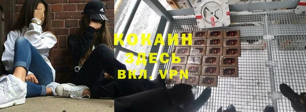 дмт Алексин