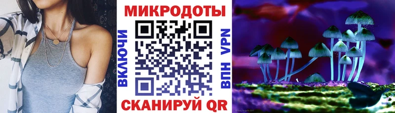 Галлюциногенные грибы Psilocybine cubensis Кропоткин